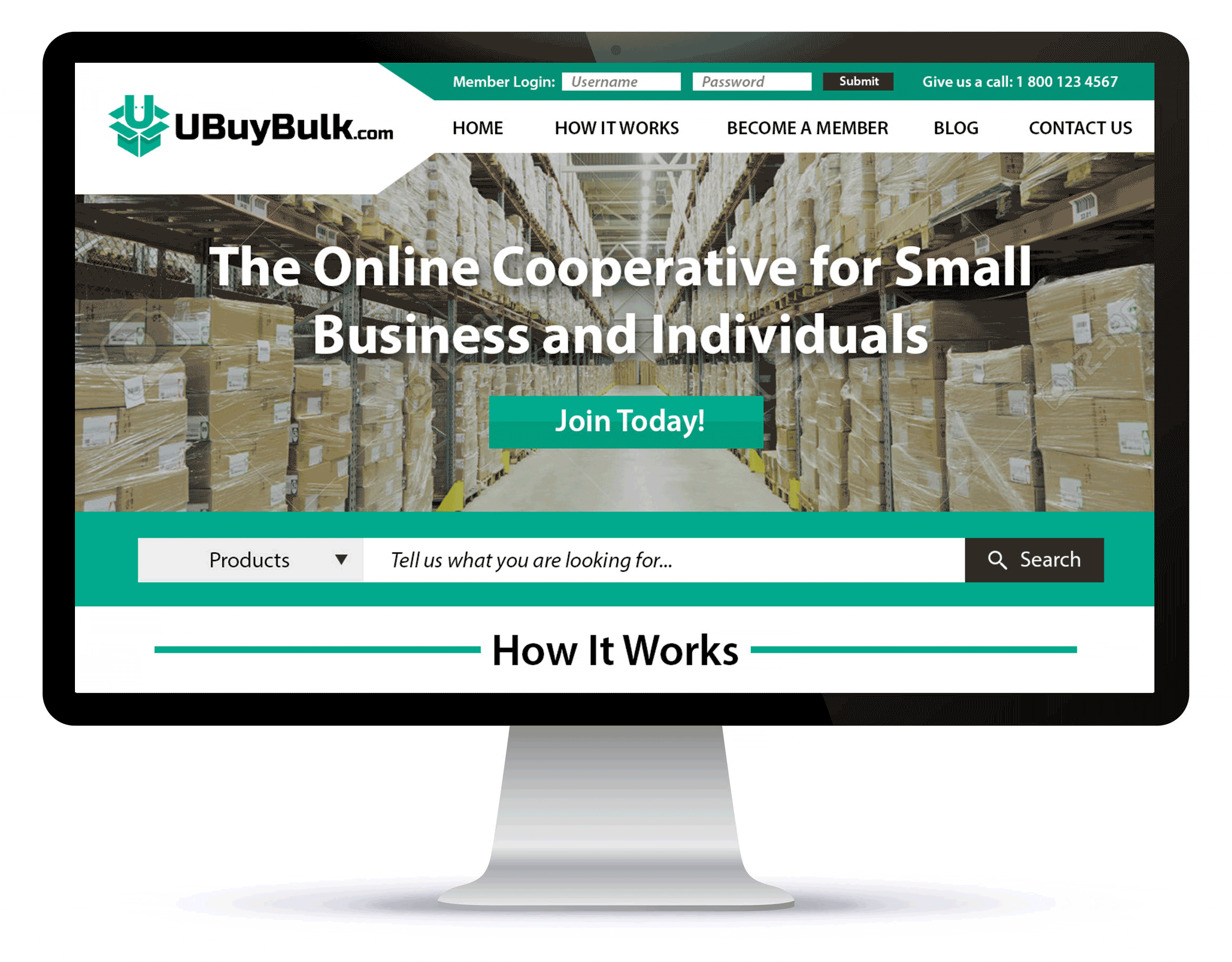 ubuybulk - website and print media